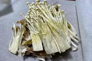 sirabee20251122musuroom3