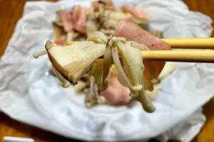 sirabee20251122musuroom9