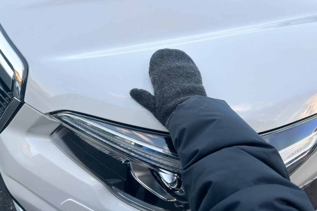 車・猫バンバン