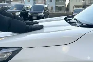 冬場は“車をバンバン”叩いて　「命を守る行動」として注意喚起や報告する人が続出