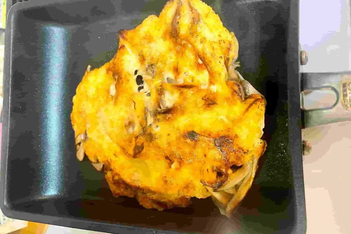 sirabee20251205maitake5