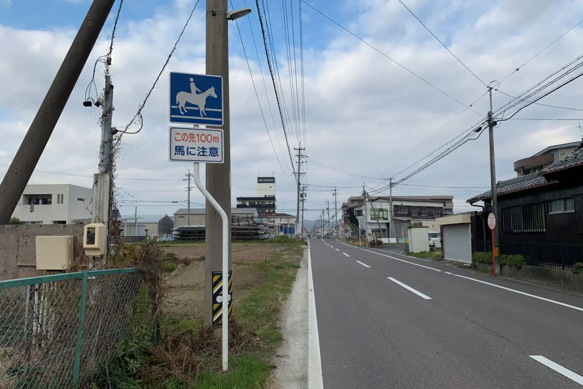 sirabee20251209kasamatsukeiba6