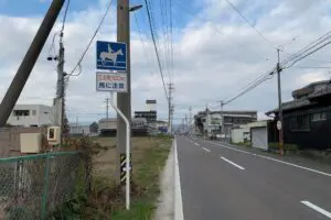 sirabee20251209kasamatsukeiba6