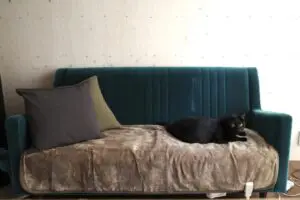 sirabee20251209muji3