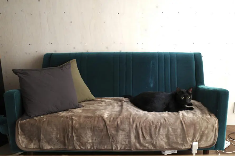 sirabee20251209muji3