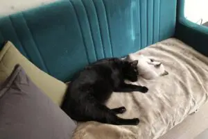 sirabee20251209muji7