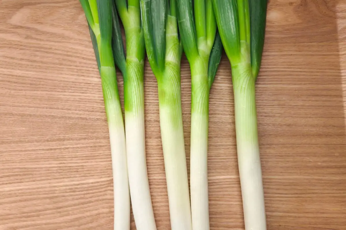 sirabee20251210negi2