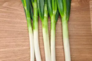 sirabee20251210negi2