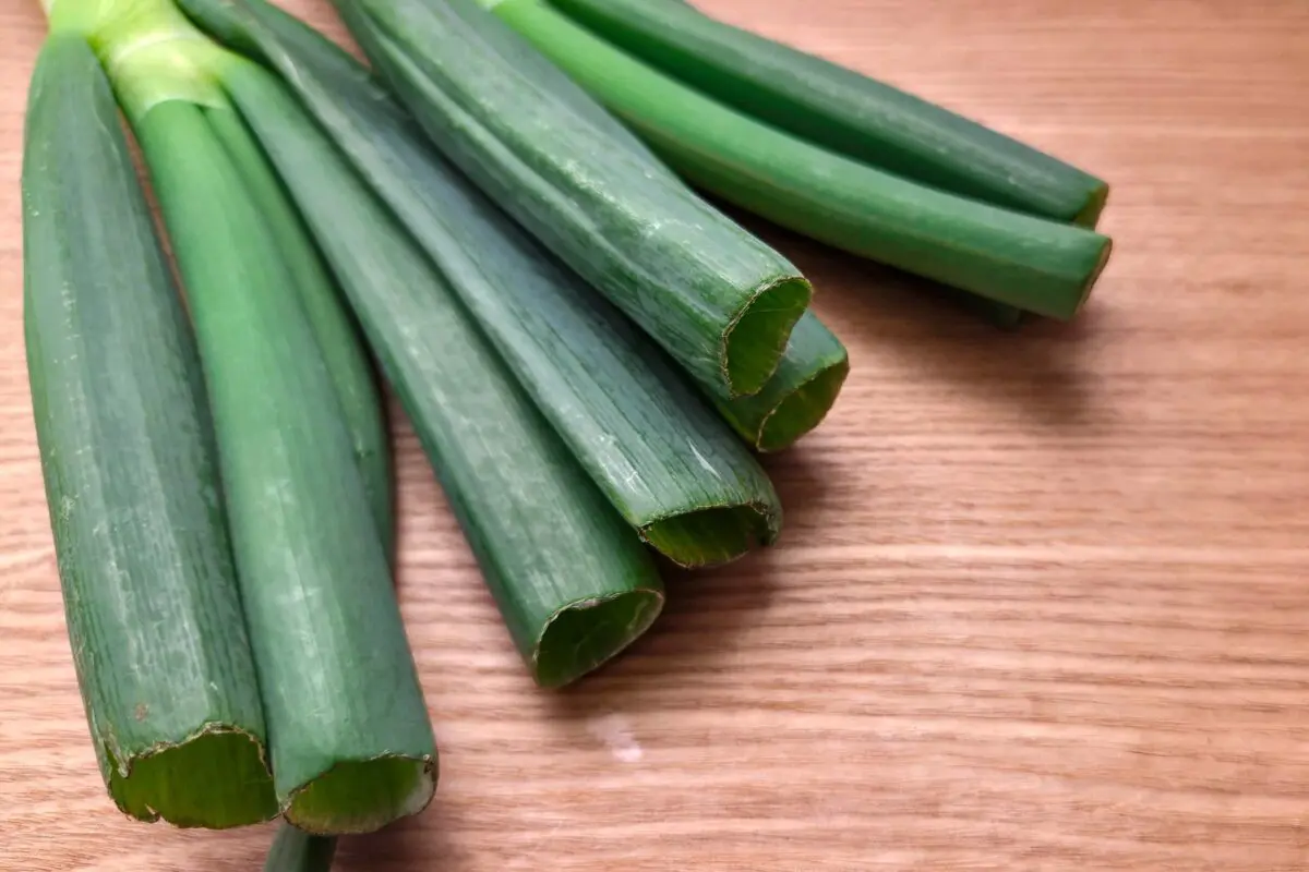 sirabee20251210negi4