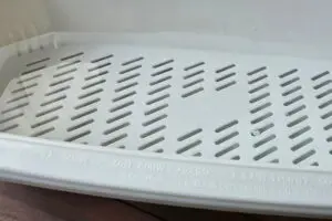 sirabee20251211pasta4