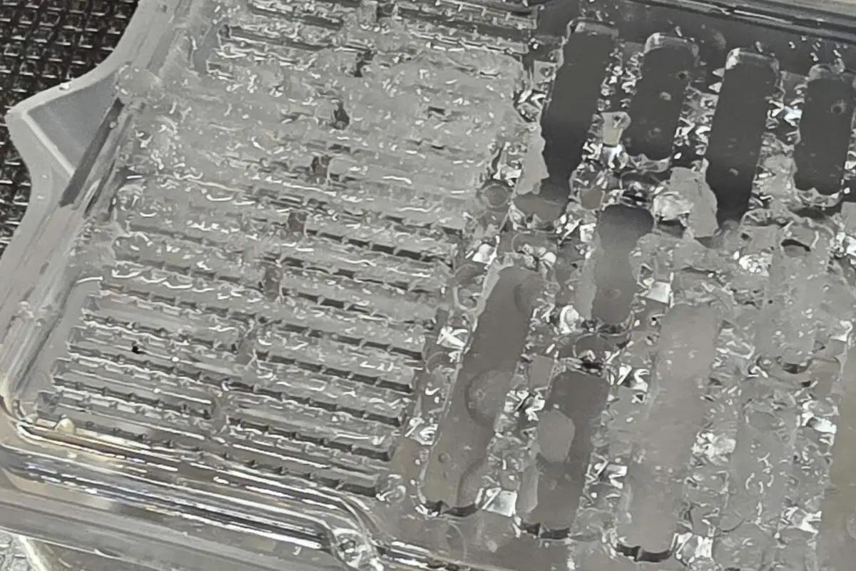 sirabee20251217daikon6