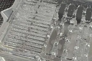 sirabee20251217daikon6