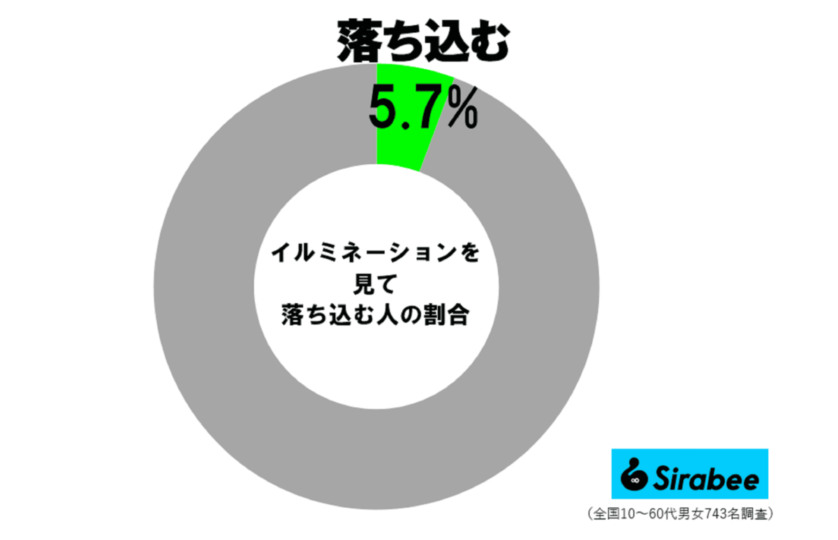 イルミネーション調査