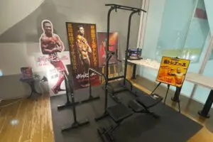 sirabee20251222bodybuilder