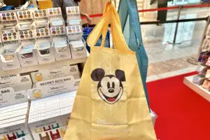 sirabee20251222disneystore6
