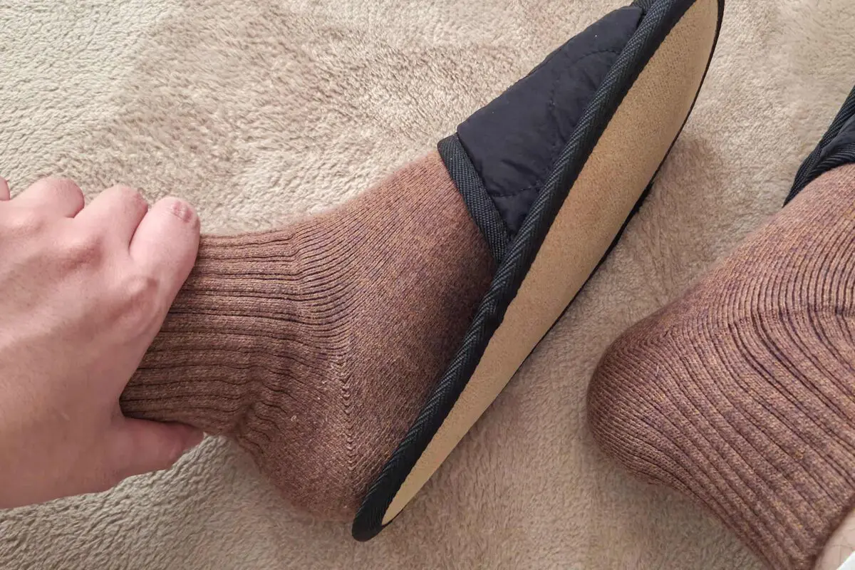 sirabee20251225daiso5