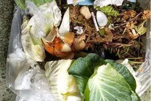 sirabee20251225nexconakanihon3