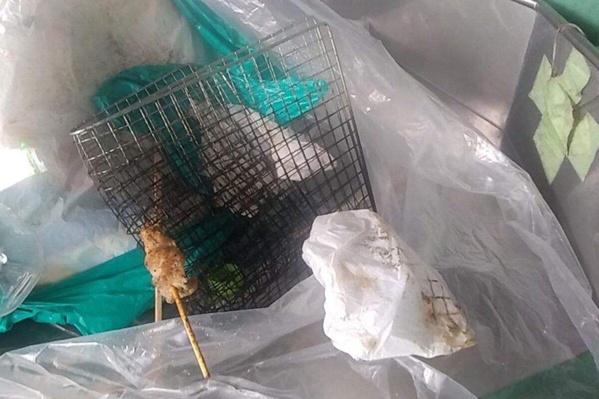 PAに不法投棄されたゴミ