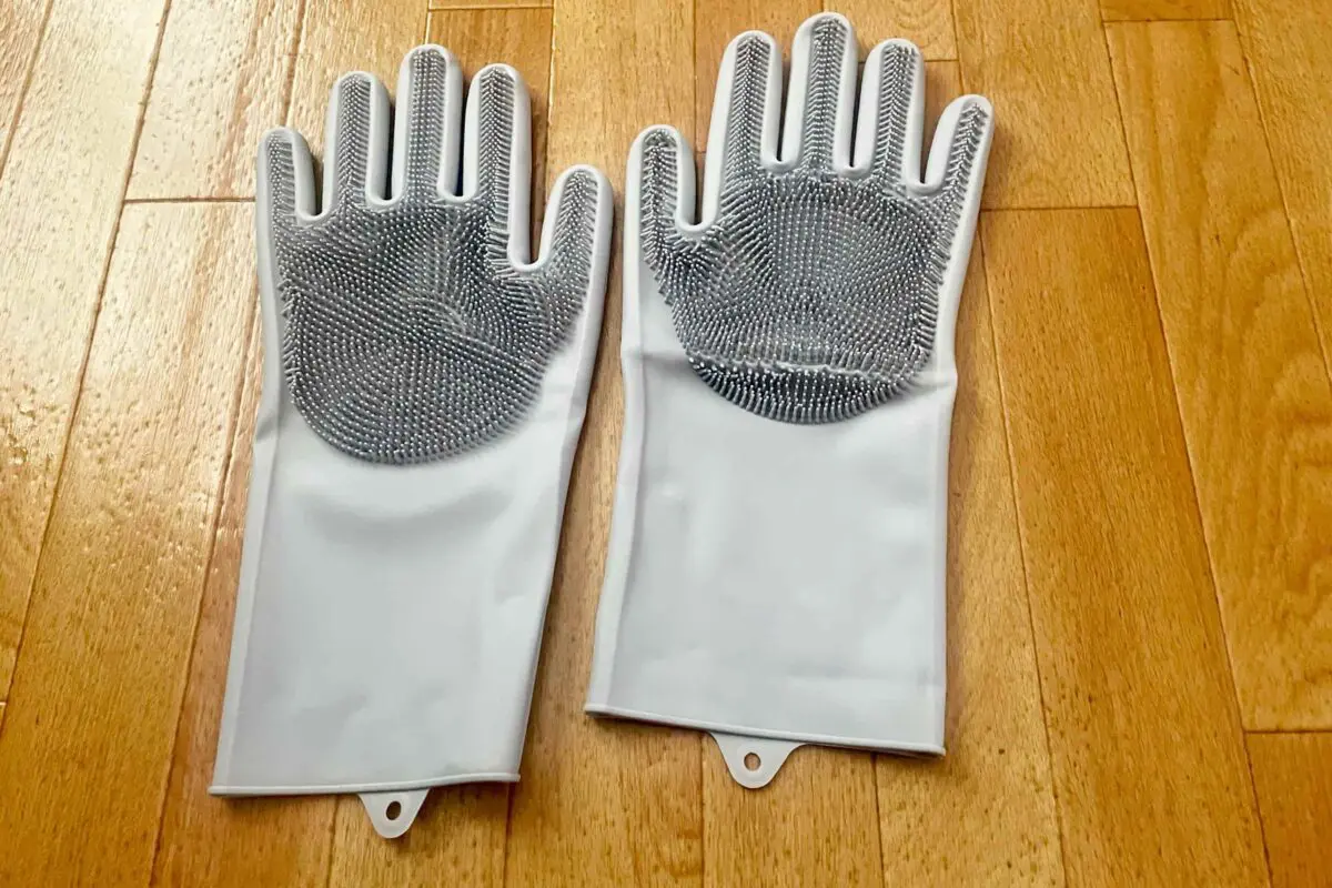 sirabee20251226grove3