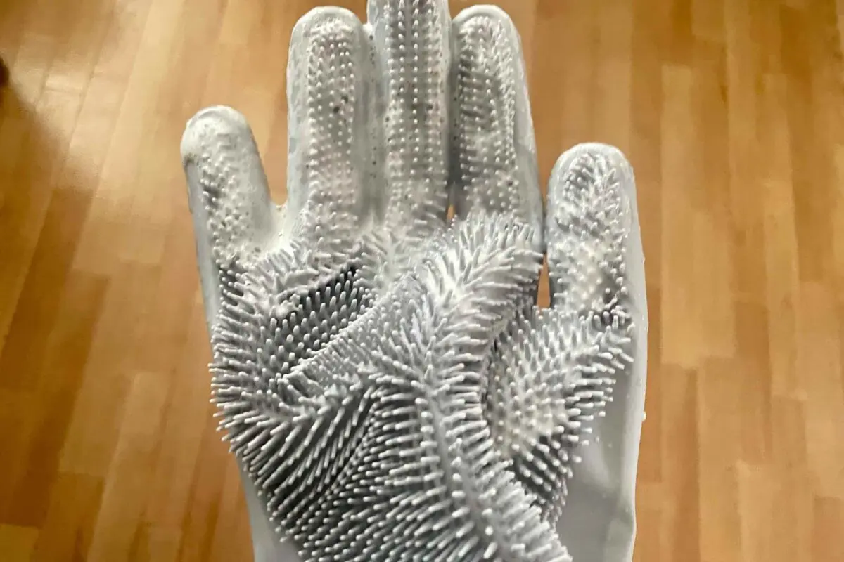 sirabee20251226grove5