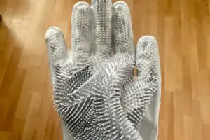 sirabee20251226grove5