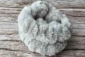 sirabee20251226tekubi3