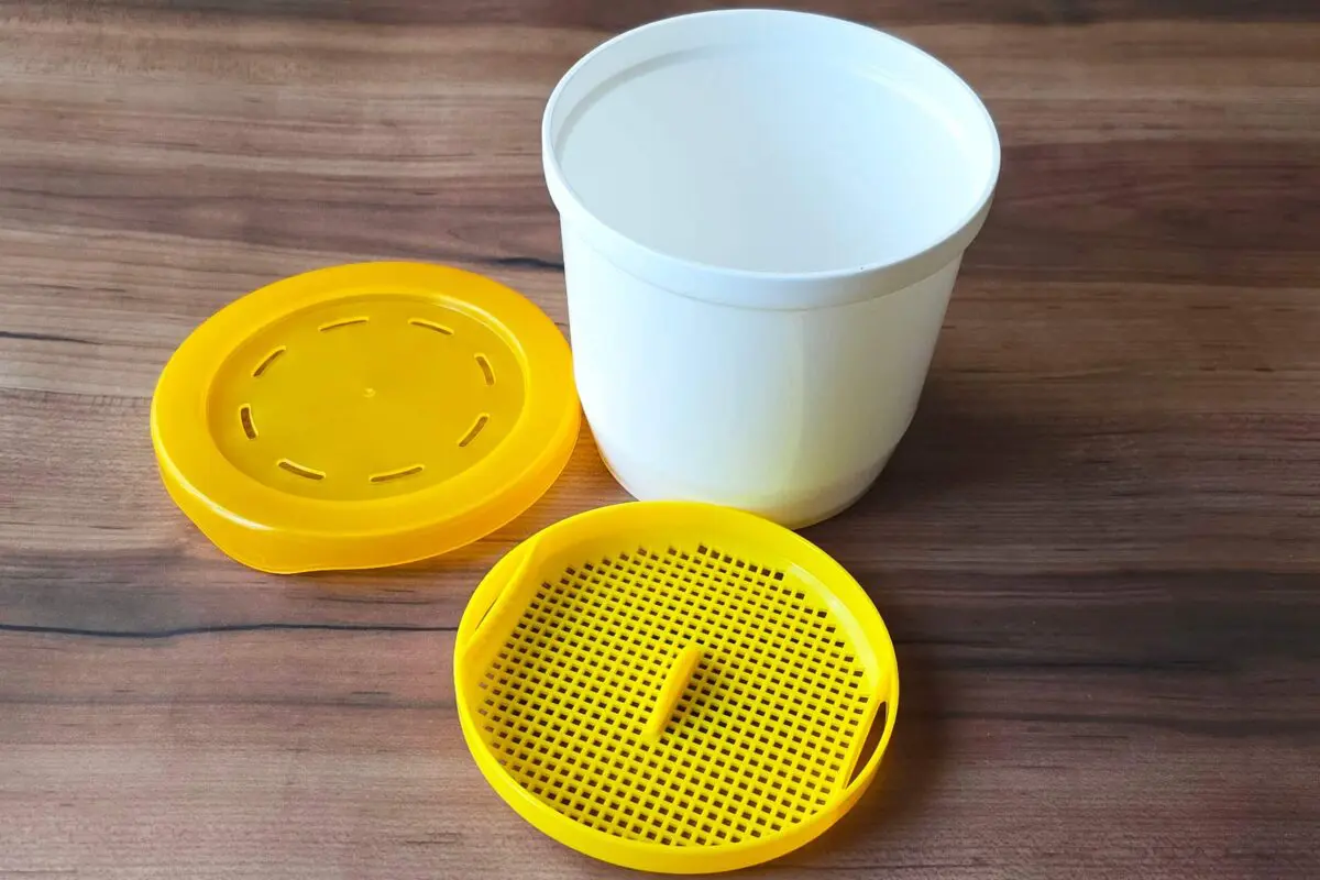 sirabee20251228chawan4