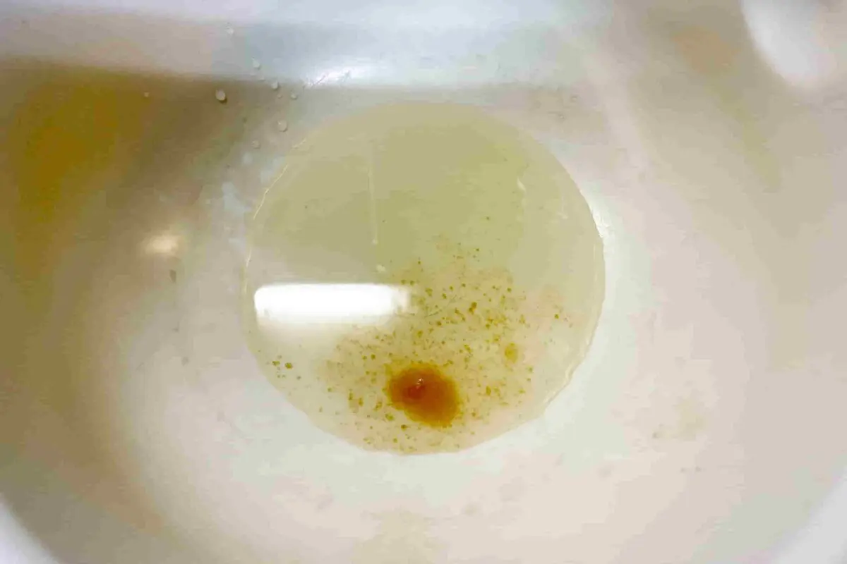 sirabee20251228radish6