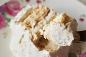 sirabee20251229coconut10