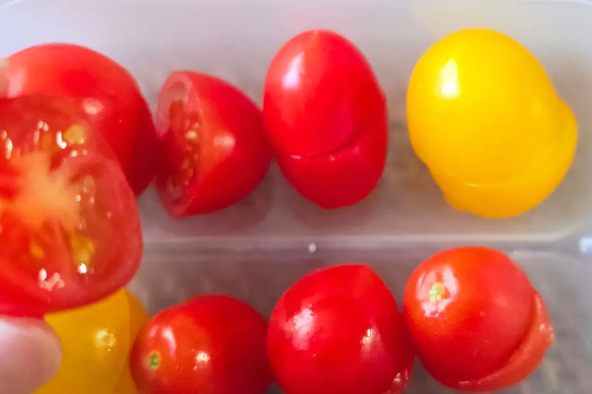 sirabee20251229kyuri13