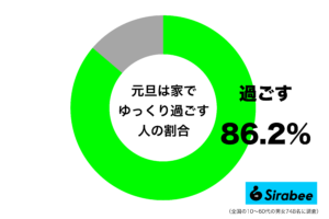 初詣は混んでいて寒いので…　約9割が選ぶ「元旦の過ごし方」に納得