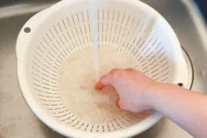 sirabee20251229shiratakigohan1