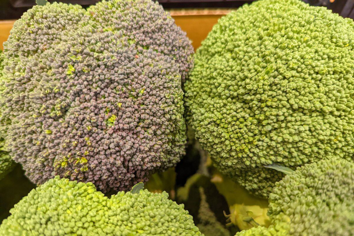 紫色のブロッコリー
