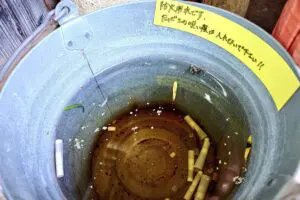 国宝・彦根城で大量のポイ捨てタバコ見つかり波紋　土産店は「喫煙者の9割が日本人」と明かす