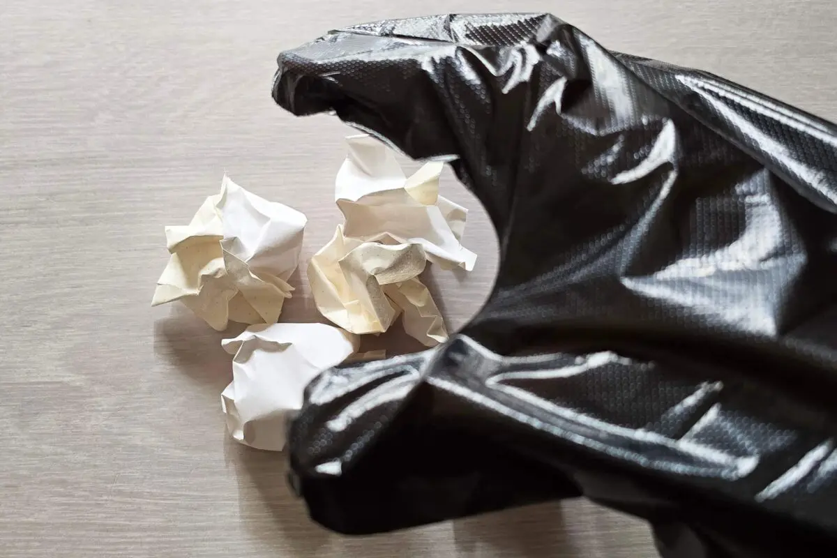 sirabee20260107hukuro5