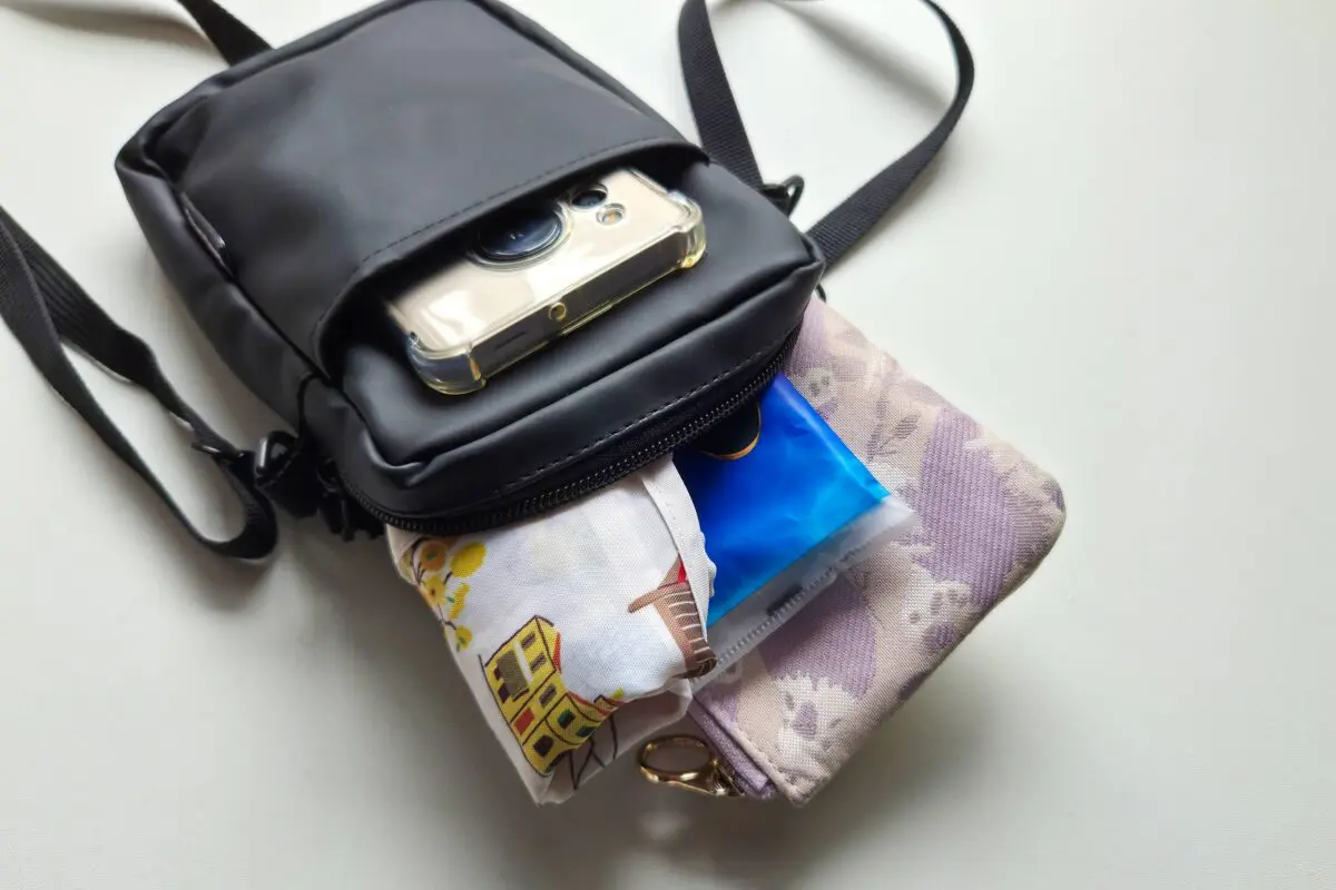 sirabee20260113daiso4