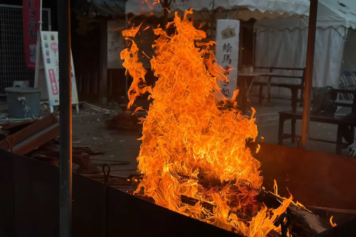 sirabee20260114nittajinja5