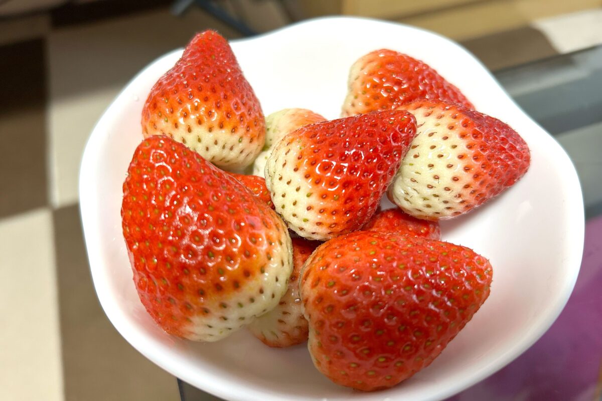 いちご『とちあいか』