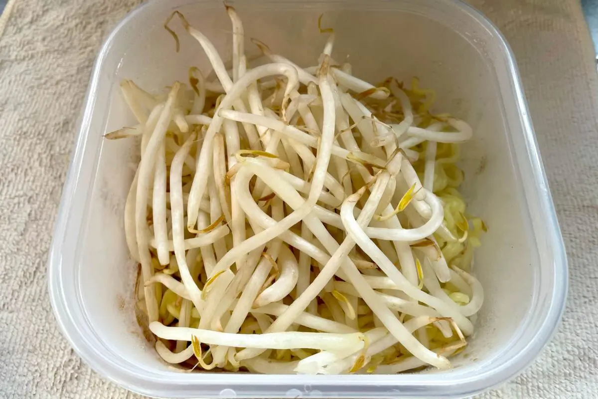sirabee20260116yakisoba4