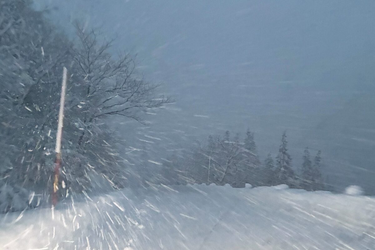 雪道・ライト・吹雪