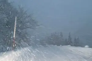 sirabee20260116yukimichi