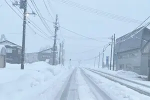 雪道での“轍”走行は100％安全じゃない？　豪雪地帯の新潟民に聞くと「対向車があまりない道路では…」
