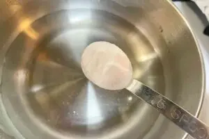 sirabee20260118tofu3