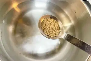 sirabee20260118tofu4