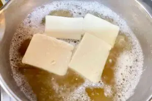 sirabee20260118tofu6