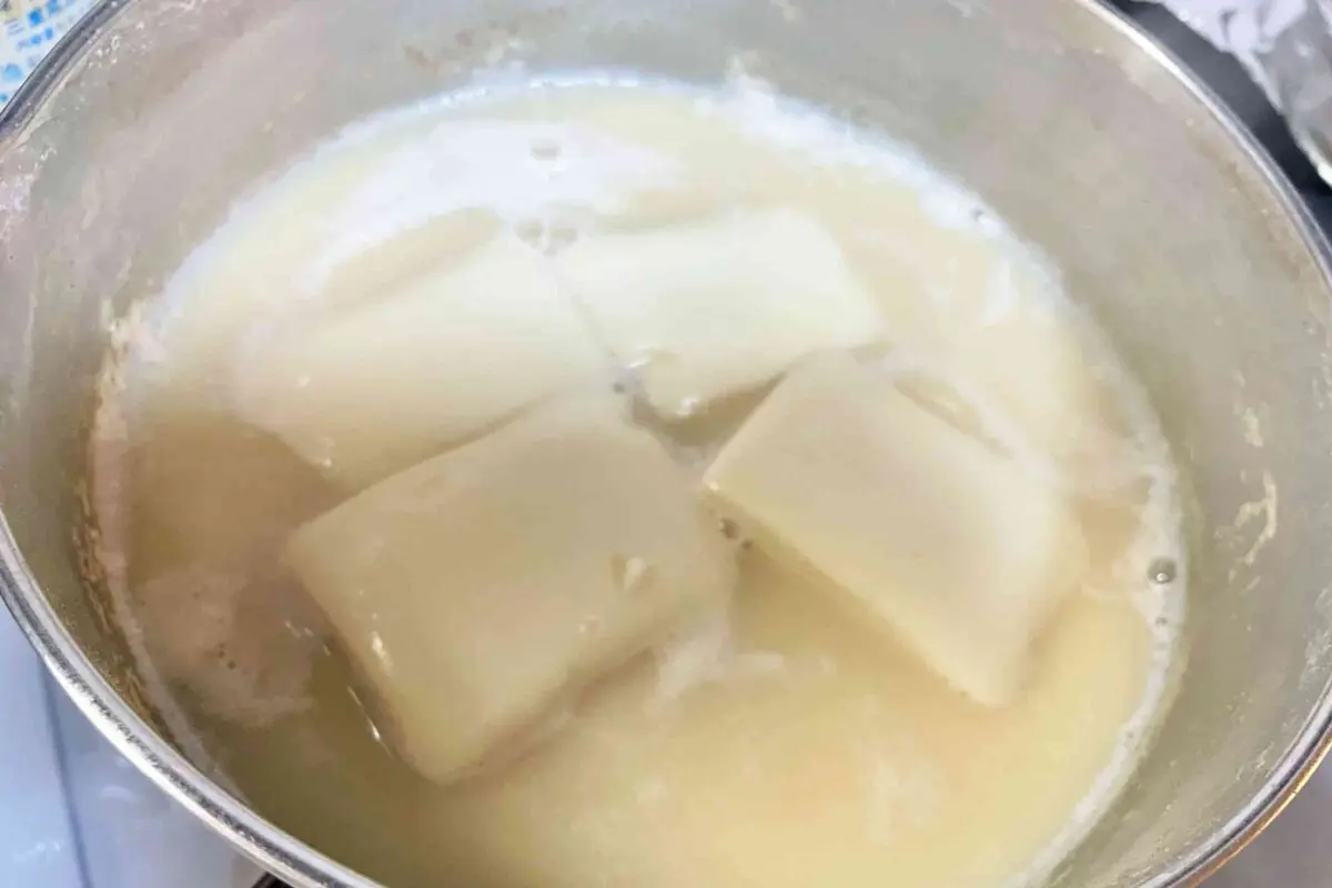 sirabee20260118tofu7