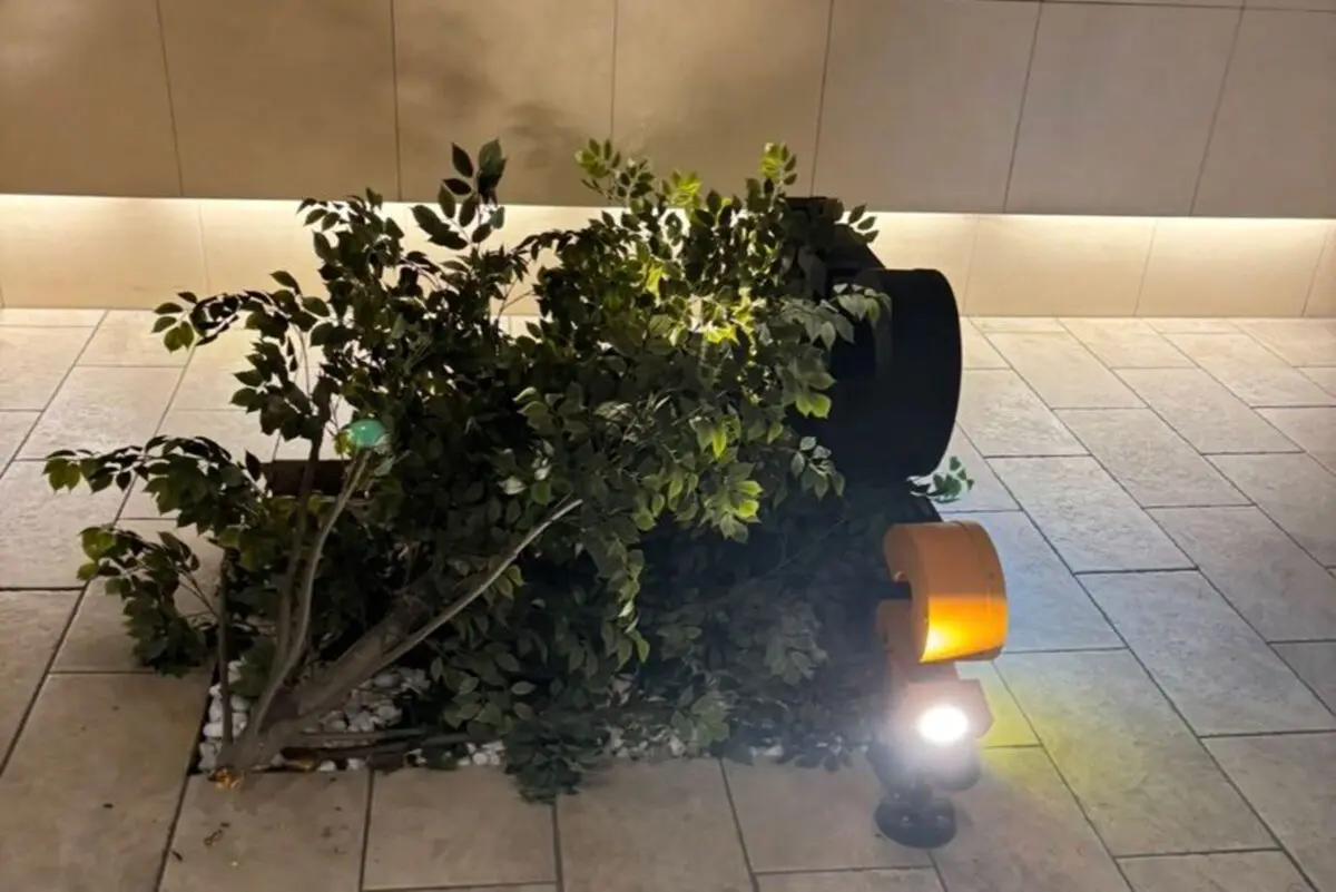 sirabee20260120apartment3