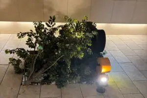 sirabee20260120apartment3