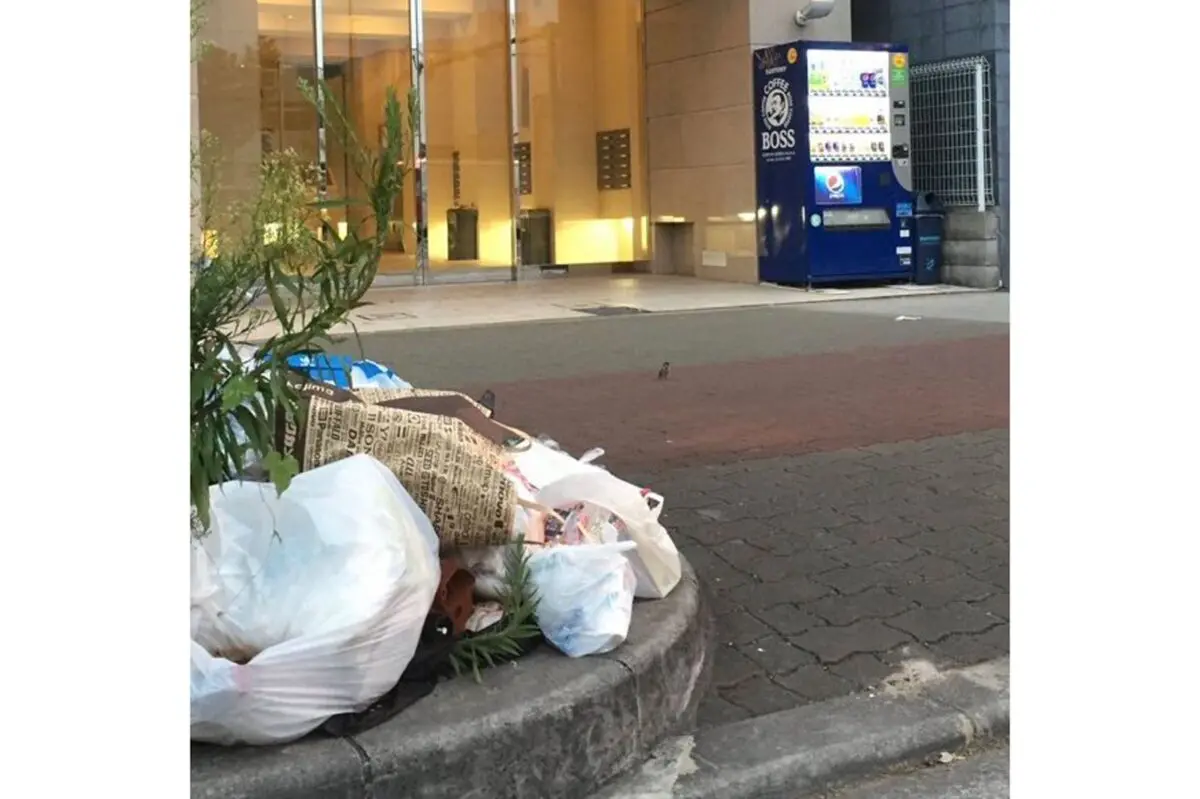 sirabee20260120apartment4