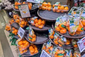 sirabee20260121mikan_hot00005